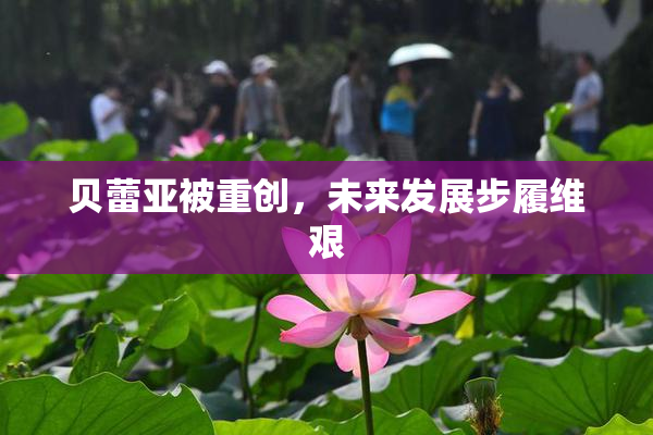 贝蕾亚被重创，未来发展步履维艰