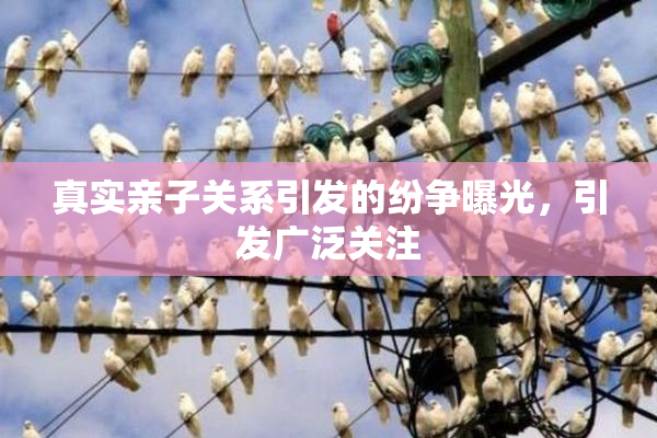 真实亲子关系引发的纷争曝光，引发广泛关注