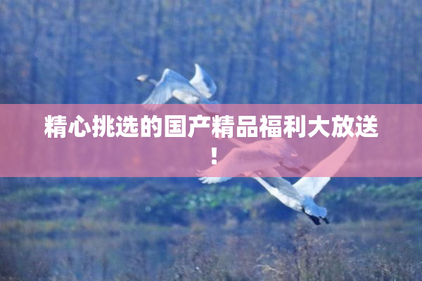 精心挑选的国产精品福利大放送！