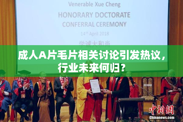 成人A片毛片相关讨论引发热议，行业未来何归？