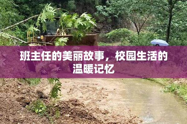 班主任的美丽故事，校园生活的温暖记忆