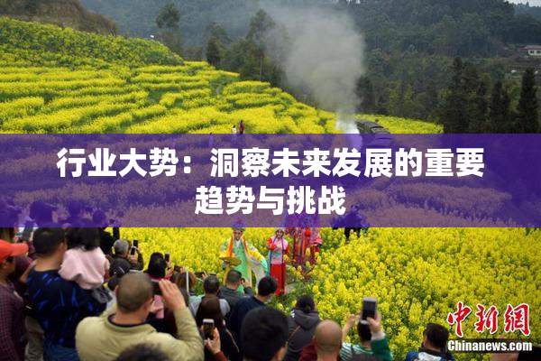 行业大势：洞察未来发展的重要趋势与挑战