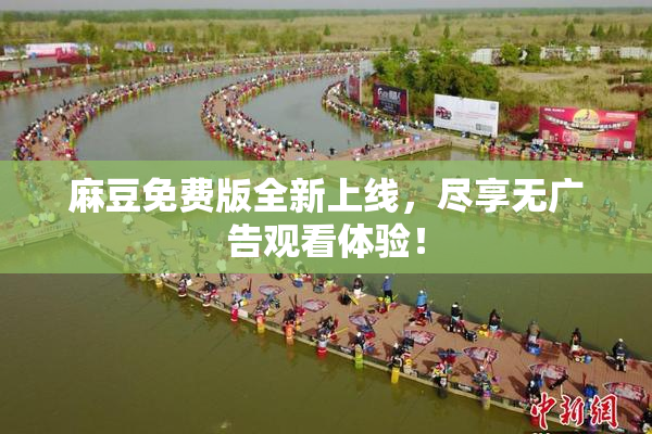 麻豆免费版全新上线，尽享无广告观看体验！
