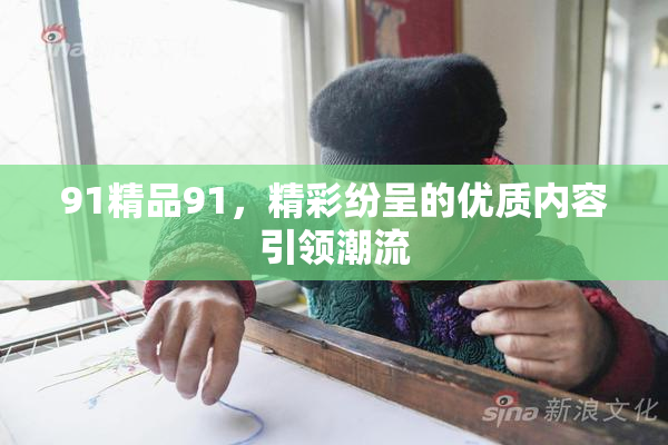 91精品91，精彩纷呈的优质内容引领潮流