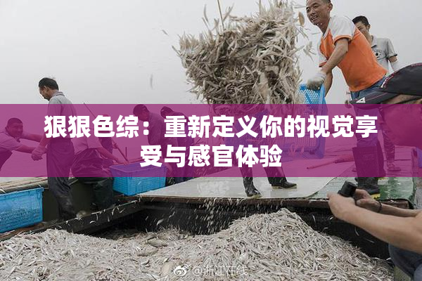 狠狠色综：重新定义你的视觉享受与感官体验
