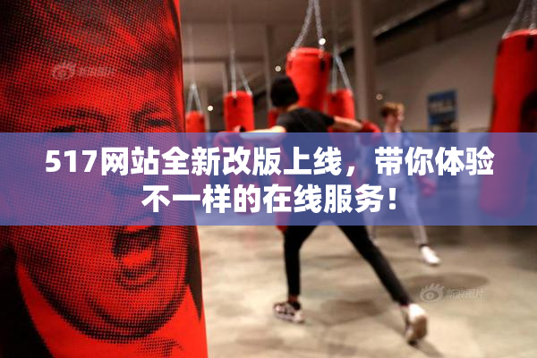 517网站全新改版上线，带你体验不一样的在线服务！