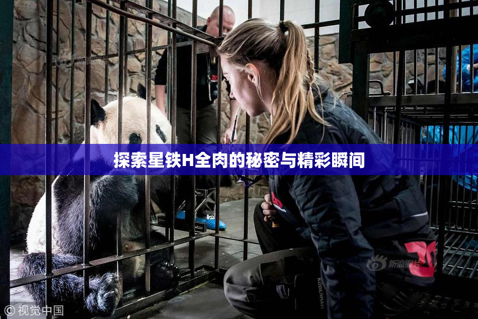 探索星铁H全肉的秘密与精彩瞬间