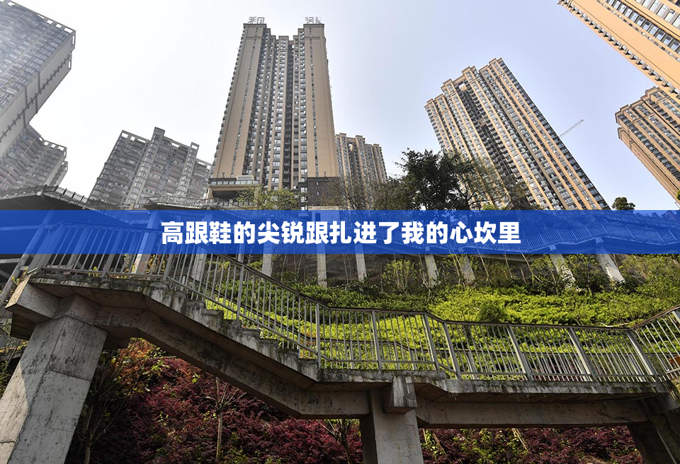 高跟鞋的尖锐跟扎进了我的心坎里