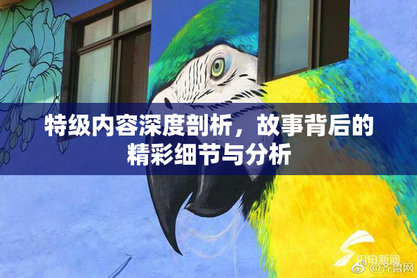 特级内容深度剖析，故事背后的精彩细节与分析
