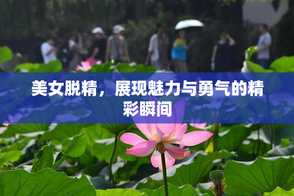 美女脱精，展现魅力与勇气的精彩瞬间