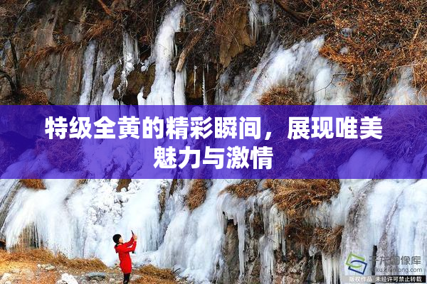 特级全黄的精彩瞬间，展现唯美魅力与激情