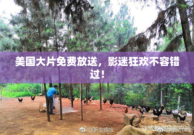 美国大片免费放送，影迷狂欢不容错过！