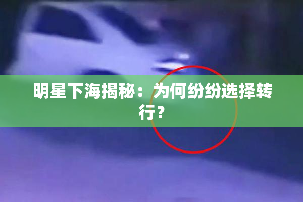 明星下海揭秘：为何纷纷选择转行？
