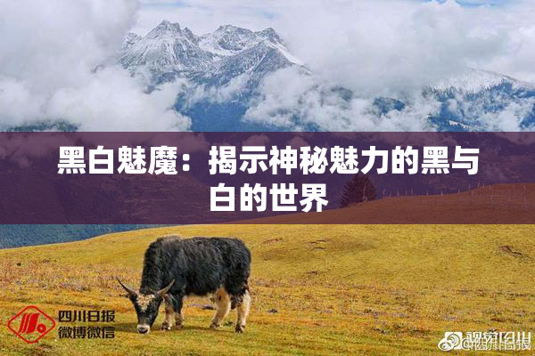 黑白魅魔：揭示神秘魅力的黑与白的世界