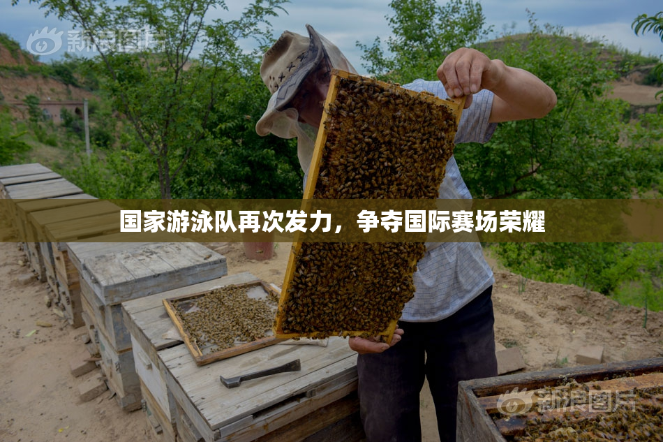 国家游泳队再次发力，争夺国际赛场荣耀