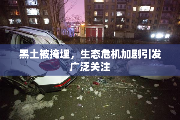 黑土被掩埋，生态危机加剧引发广泛关注