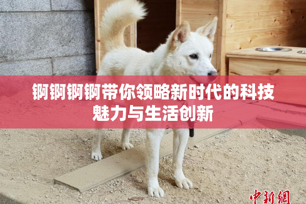 锕锕锕锕带你领略新时代的科技魅力与生活创新
