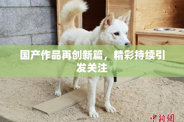 国产作品再创新篇，精彩持续引发关注