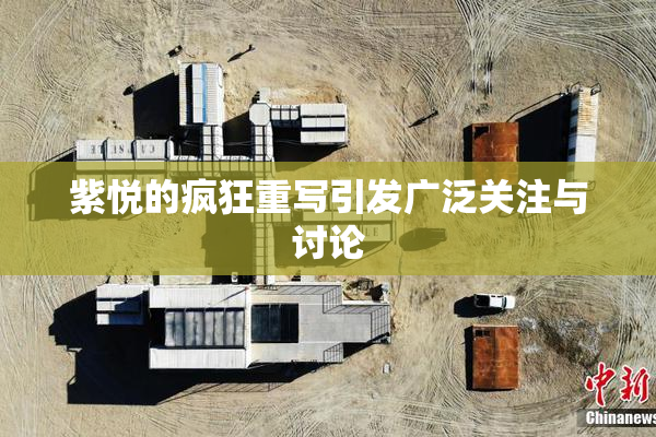 紫悦的疯狂重写引发广泛关注与讨论