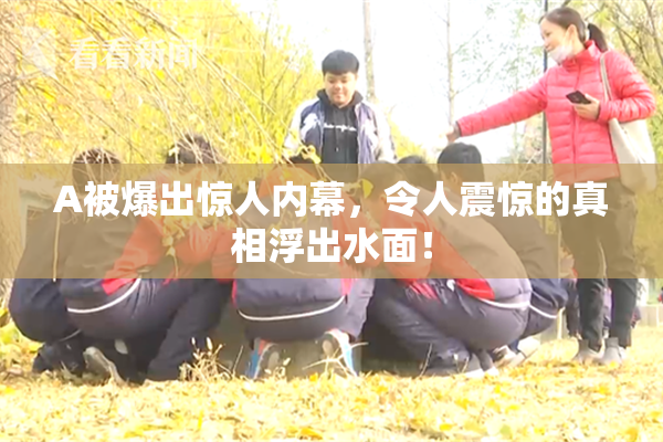 A被爆出惊人内幕，令人震惊的真相浮出水面！