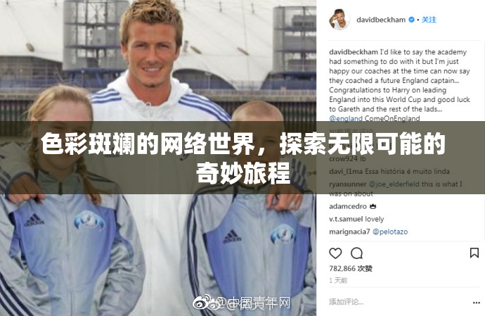 色彩斑斓的网络世界，探索无限可能的奇妙旅程