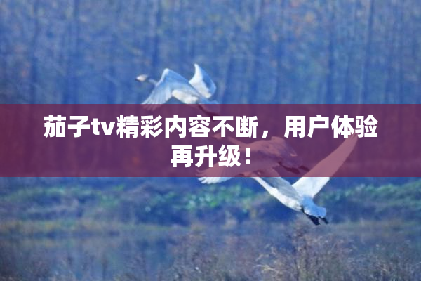 茄子tv精彩内容不断，用户体验再升级！