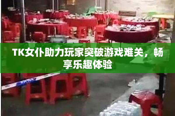 TK女仆助力玩家突破游戏难关，畅享乐趣体验