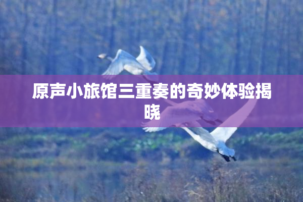 原声小旅馆三重奏的奇妙体验揭晓
