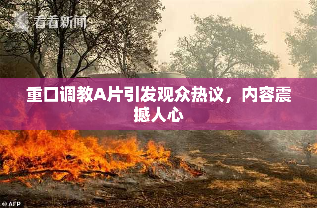 重口调教A片引发观众热议，内容震撼人心