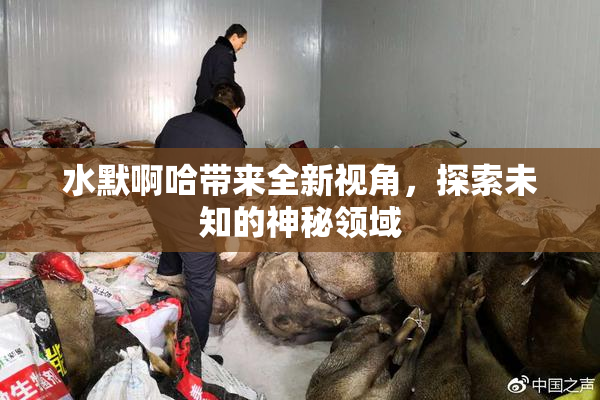 水默啊哈带来全新视角，探索未知的神秘领域