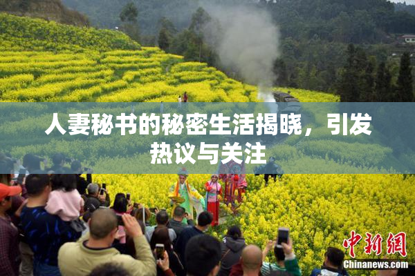 人妻秘书的秘密生活揭晓，引发热议与关注