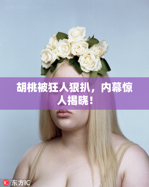 胡桃被狂人狠扒，内幕惊人揭晓！
