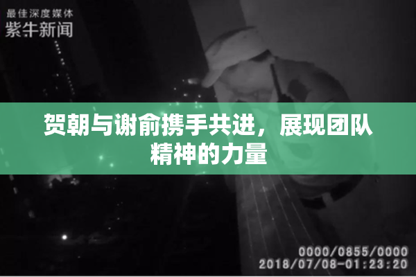 贺朝与谢俞携手共进，展现团队精神的力量