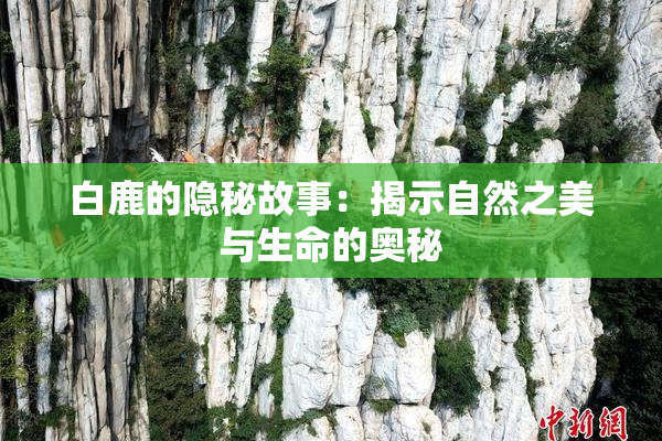 白鹿的隐秘故事：揭示自然之美与生命的奥秘