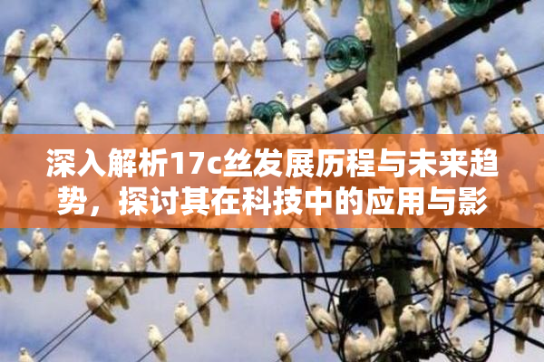 深入解析17c丝发展历程与未来趋势，探讨其在科技中的应用与影响。