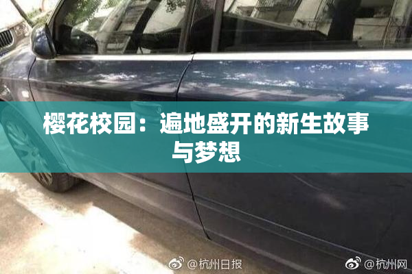 樱花校园：遍地盛开的新生故事与梦想