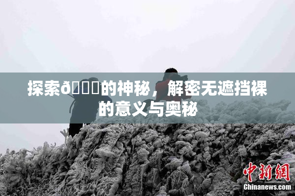 探索🔞的神秘，解密无遮挡裸的意义与奥秘