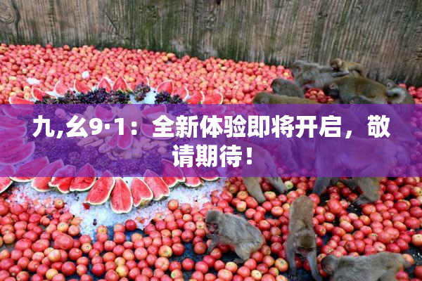 九,幺9·1：全新体验即将开启，敬请期待！