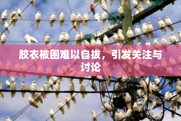 胶衣被困难以自拔，引发关注与讨论