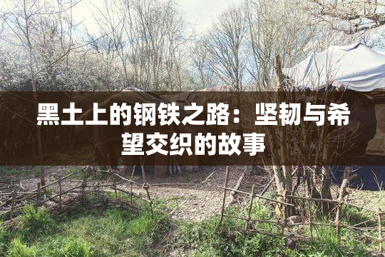 黑土上的钢铁之路：坚韧与希望交织的故事