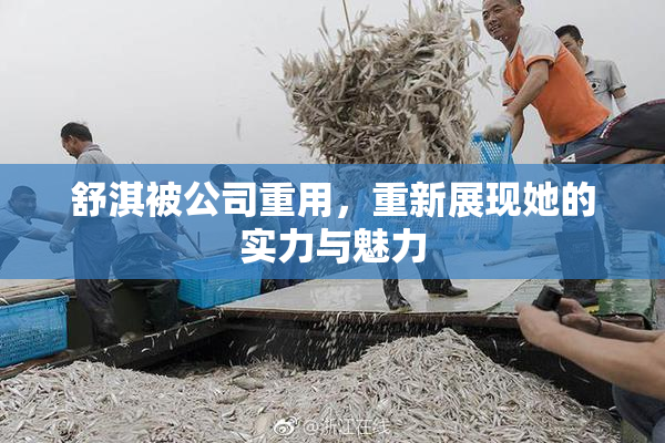 舒淇被公司重用，重新展现她的实力与魅力