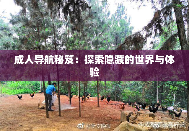 成人导航秘笈：探索隐藏的世界与体验