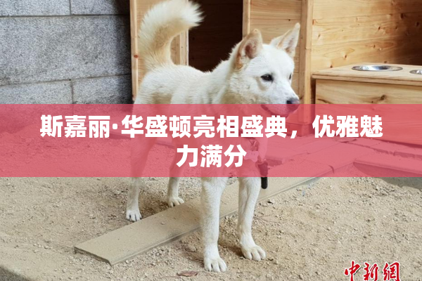 斯嘉丽·华盛顿亮相盛典，优雅魅力满分