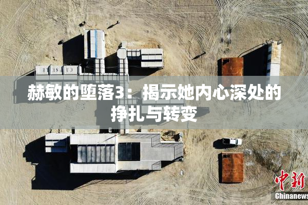 赫敏的堕落3：揭示她内心深处的挣扎与转变