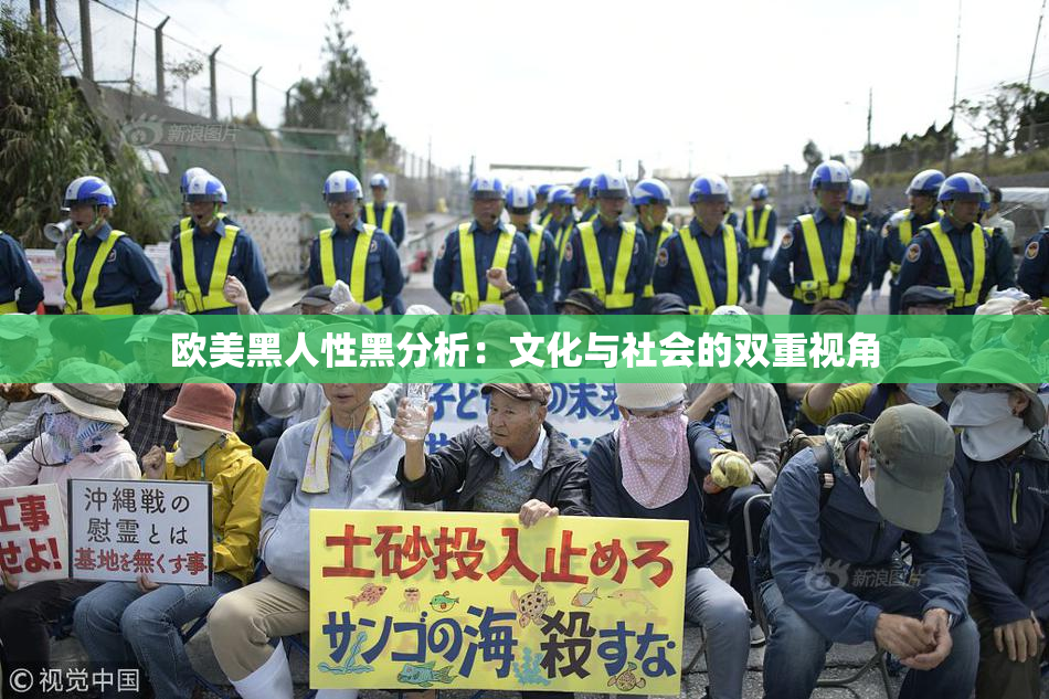 欧美黑人性黑分析：文化与社会的双重视角