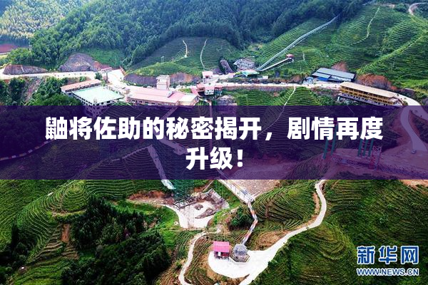 鼬将佐助的秘密揭开，剧情再度升级！