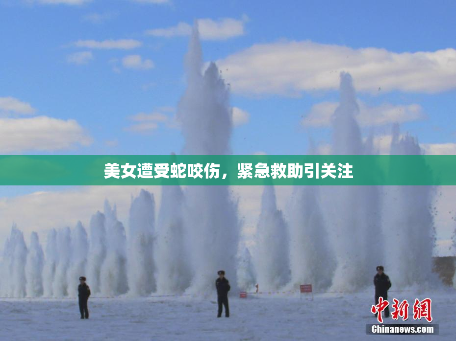 美女遭受蛇咬伤，紧急救助引关注