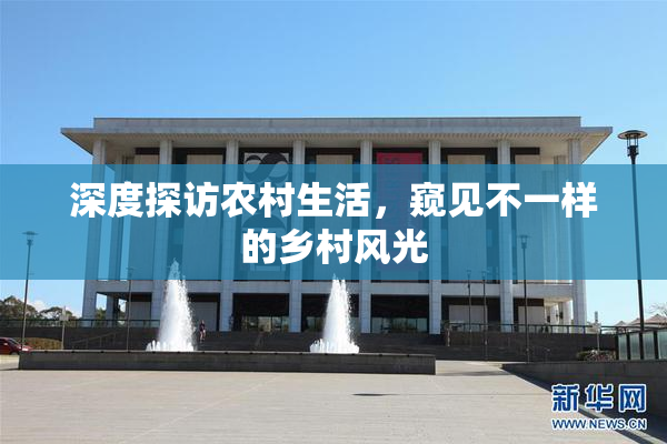 深度探访农村生活，窥见不一样的乡村风光