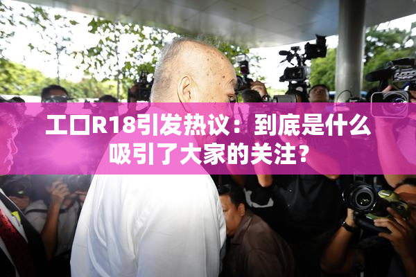工口R18引发热议：到底是什么吸引了大家的关注？