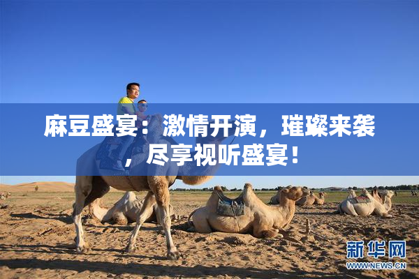 麻豆盛宴：激情开演，璀璨来袭，尽享视听盛宴！